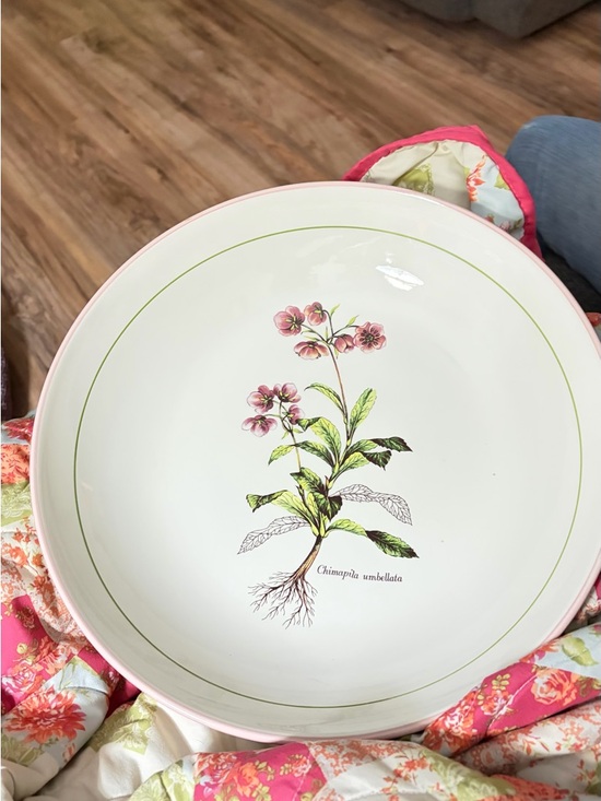 Other - Made in Italy Botanical Pink Floral spaghetti Bowl - CHIMAPILA UMBELLATA